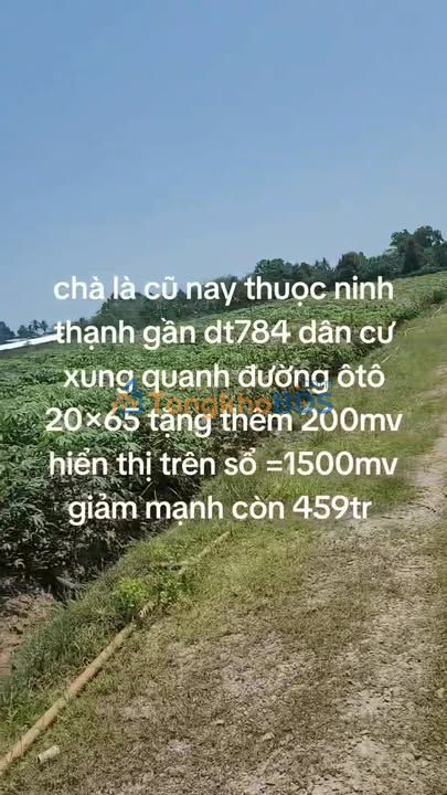 Đất nền Ninh Thạnh Tây Ninh 1500m² 459tr - Đường ô tô
