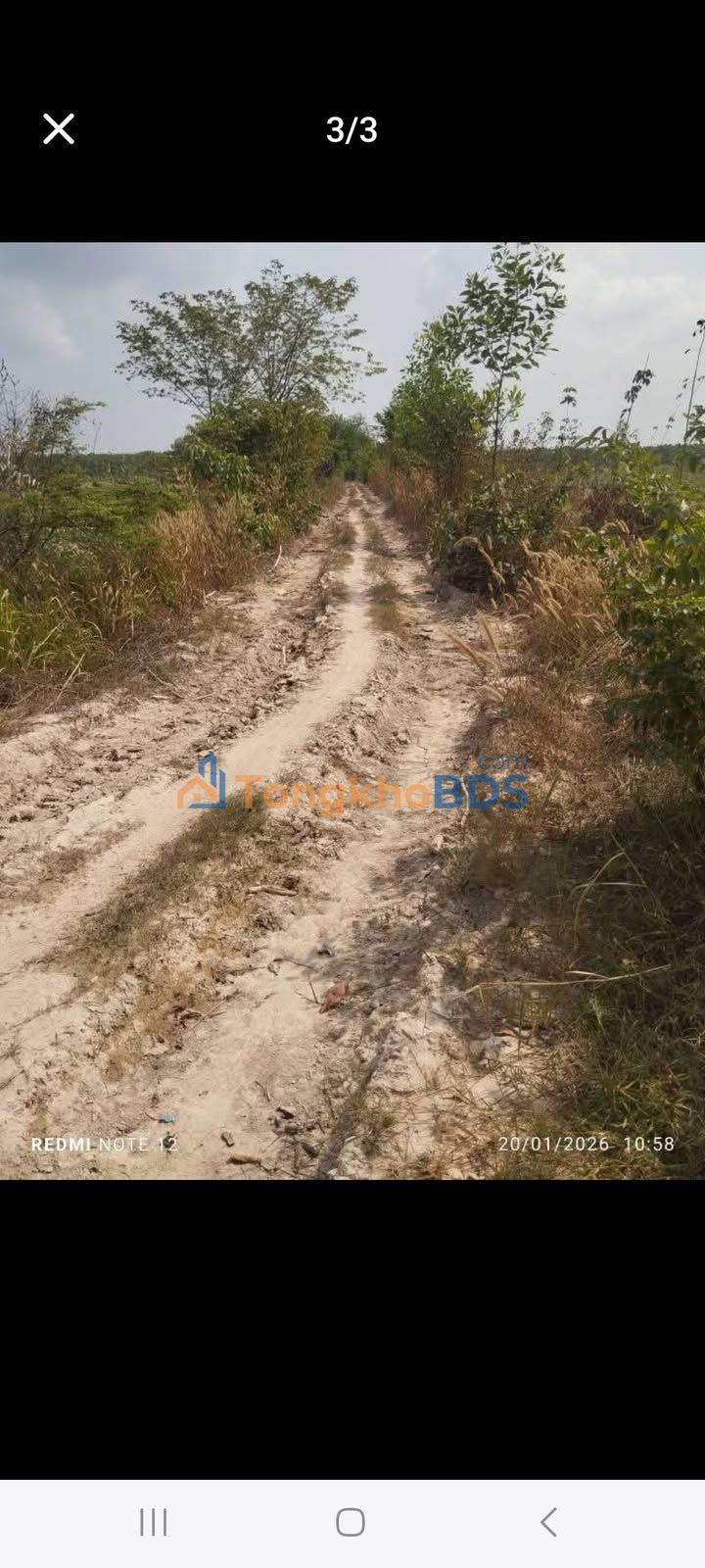 Đất vườn Thạnh Tây Tân Biên 58.000m²/5.104tỷ - Sinh thái xanh