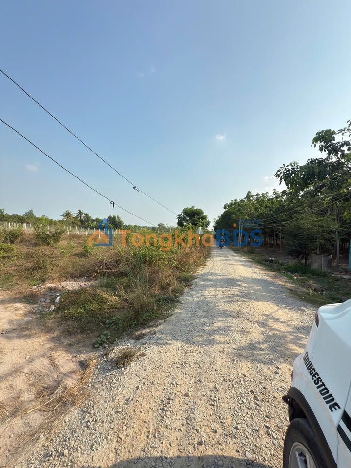 Đất nền Dương Minh Châu 50m² 265 triệu - Sổ đỏ chính chủ