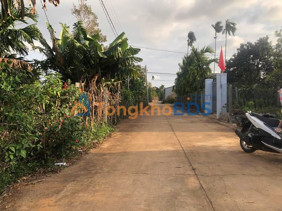 Đất nền Hẻm 61 Nguyễn Thái Bình 150m² 1.48 tỷ - Hạ tầng hoàn thiện