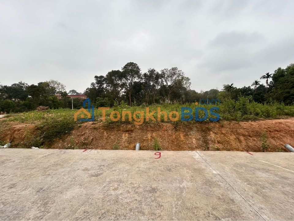 Đất Phường Âu Cơ Phú Thọ 101m² 700tr - Pháp lý rõ ràng