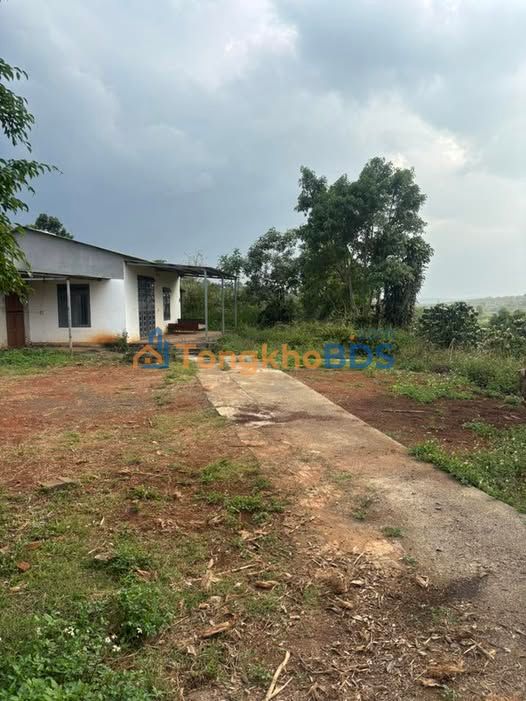 Farm Liên Hà Lâm Hà 2.160m² 2.9 tỷ - Đầu tư dài hạn sẵn vườn