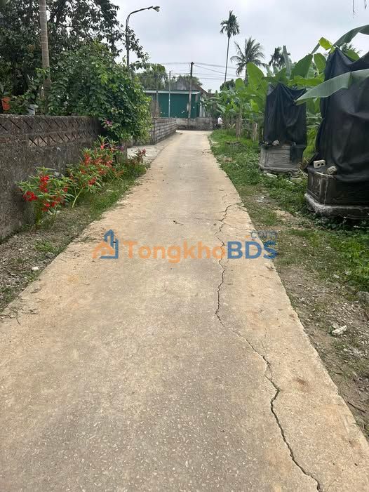 Đất nền Nông Cống 108m2 3xx triệu - Đường to ô tô