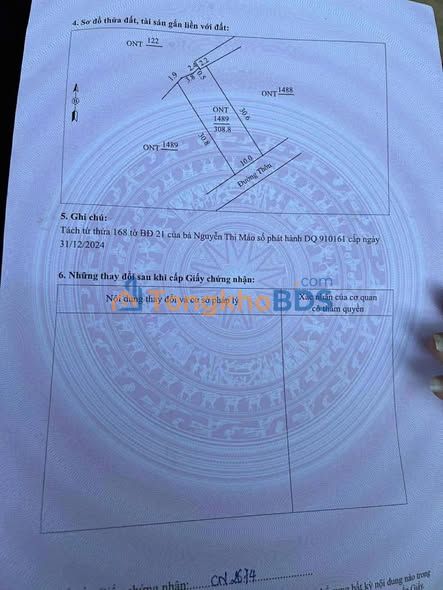 Đất Thăng Long Nông Cống 300m² - Sổ đỏ chính chủ