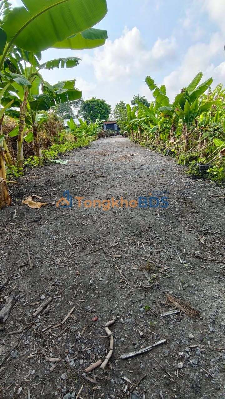 Đất nền Bình Thủy 77m² 290 triệu - Giá đầu tư tốt