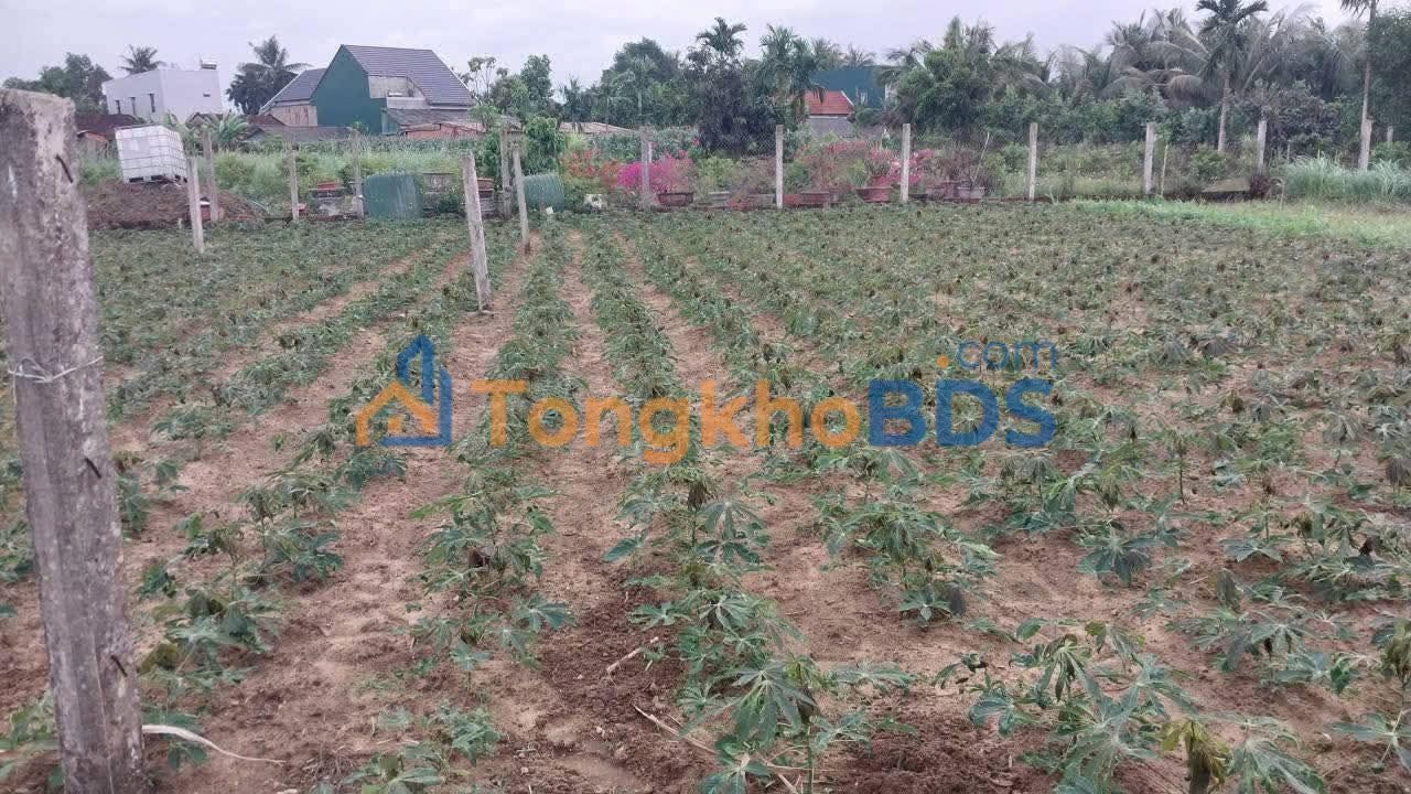 Đất Tịnh Ấn Tây Quảng Ngãi 115m² 600 triệu - Đường to ôtô