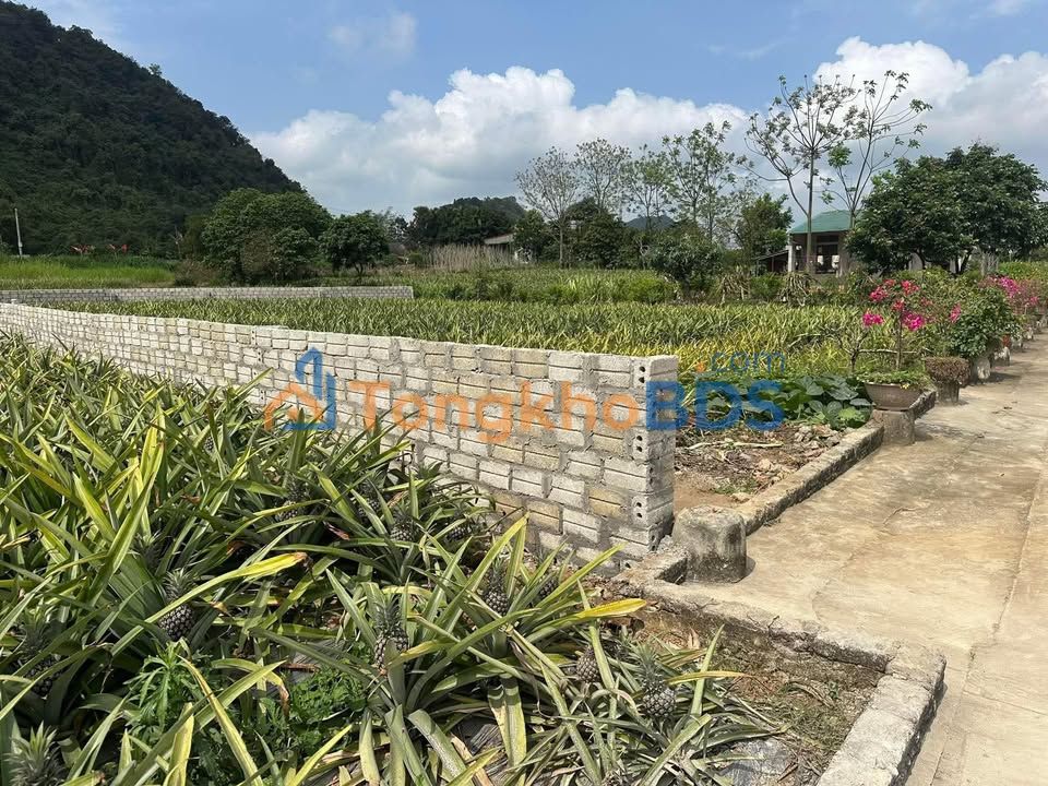 Đất nền Thôn 4 Phú Long 92m² 700 triệu - Sổ đỏ chính chủ