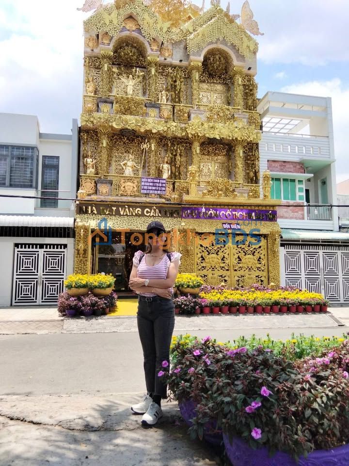 Đất Tân Phước 2 Đồng Tháp 10.000m² 2.5 tỷ - Đường xe tải