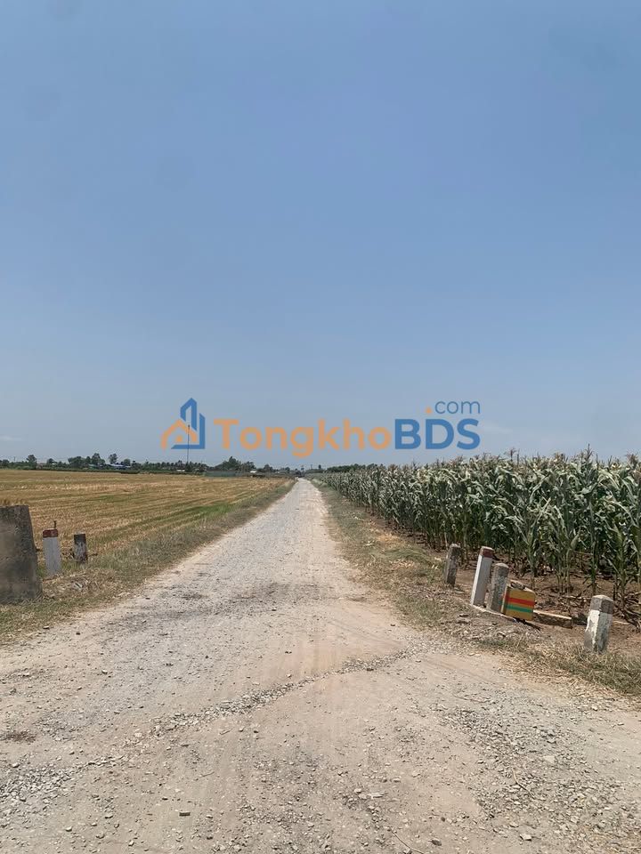 Đất nền Kiểng Phước 3.000m² 1.29 tỷ - Đầu tư dài hạn