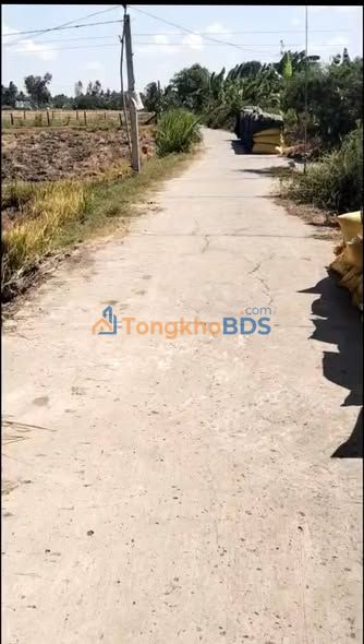 Đất ruộng Gò Công 2.000m² giá 1,5 tỷ - Tiềm năng tăng giá