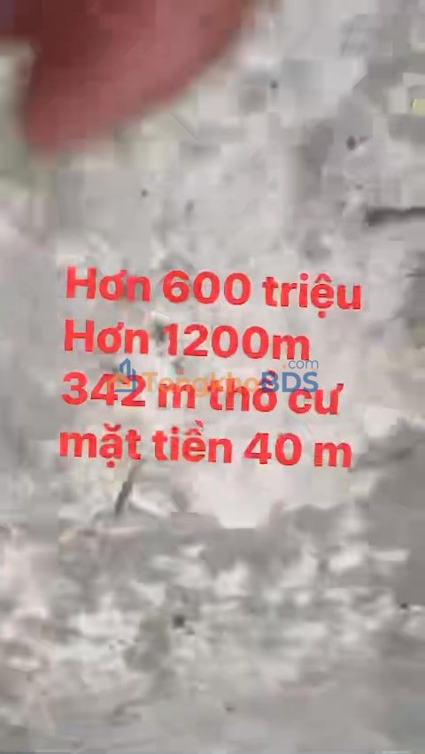 Đất vườn Sơn Lôi 1.200m² 600 triệu - Tiềm năng tăng giá