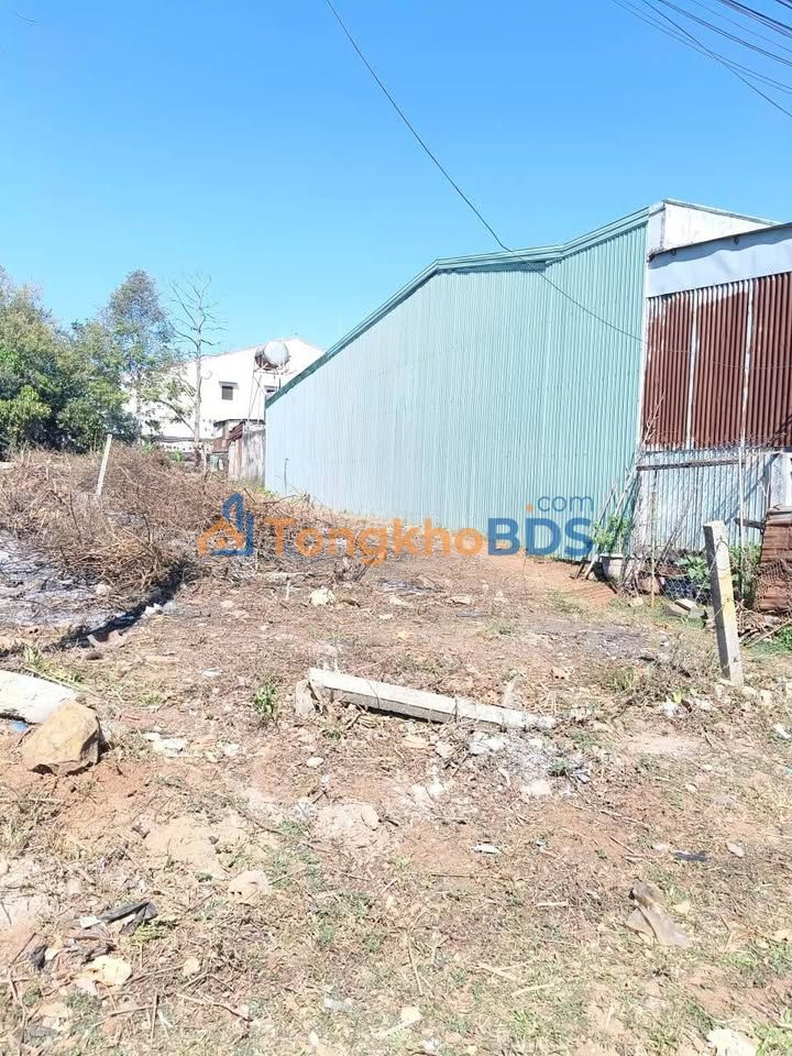 Đất Bùi Dự Pleiku 204m² 2.4 tỷ - Đất thổ cư 100%