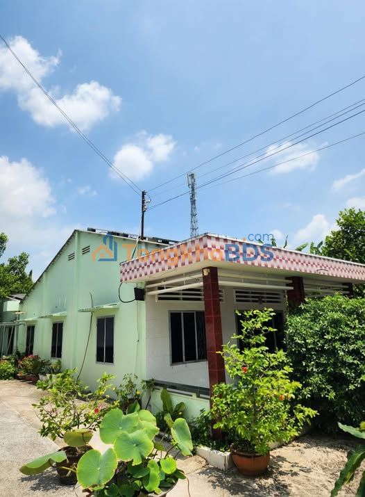 Nhà nguyên căn Long An Tây Ninh 102m² 4.5 triệu - Sẵn sàng ở ngay