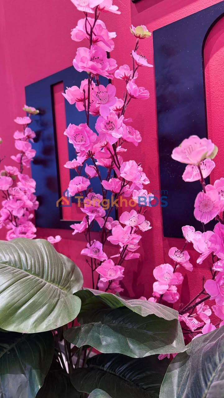 Đất Duy Trinh 115m² 5xx triệu - Sổ đỏ chính chủ