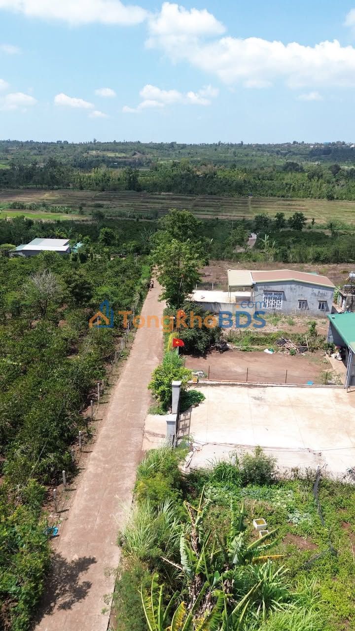 Đất nền Buôn Ea Siên 959m² 1.079 tỷ - Sổ đỏ