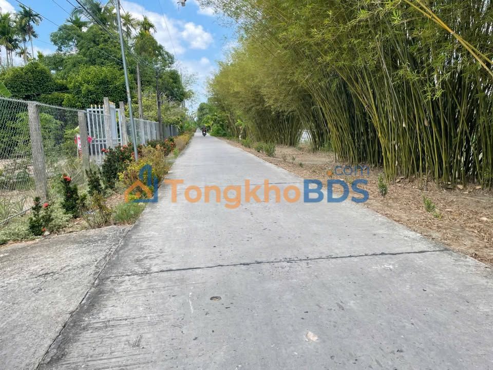 Nhà vườn Phụng Hiệp Hậu Giang 7.100m² 1.4 tỷ - Chính chủ