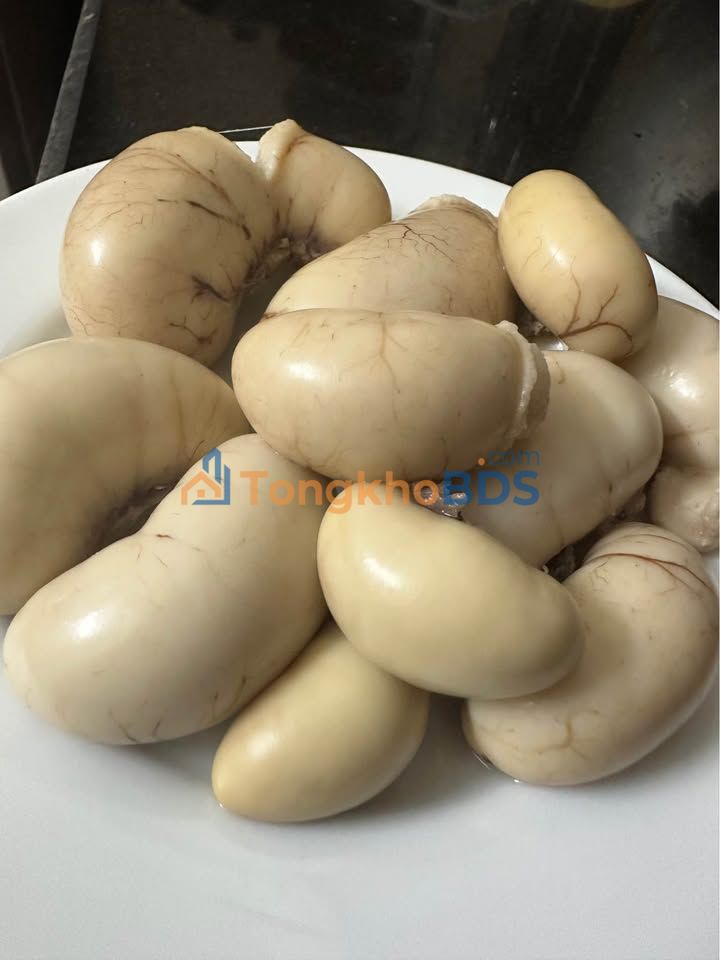 Đất Hoàng Diệu Thái Bình 52m² 9xx triệu - Đường ô tô vào