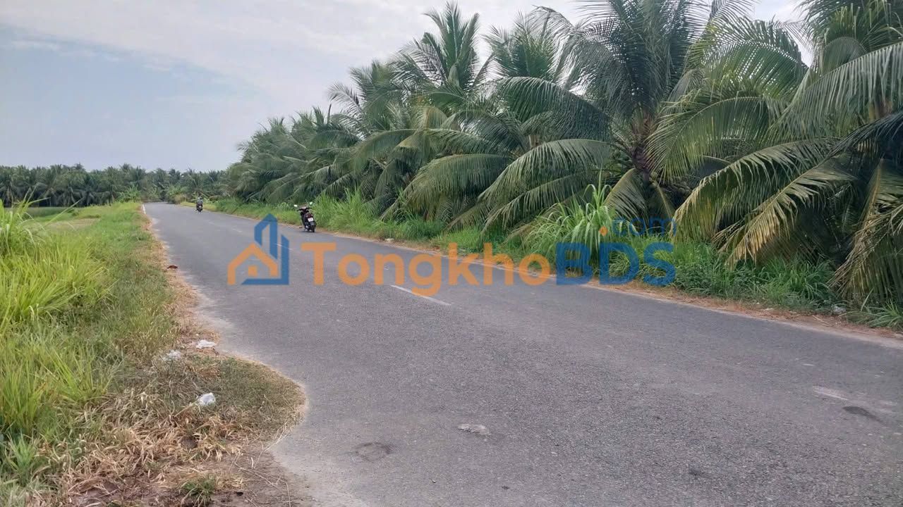 Đất HL1 Càng Long 2707m² 6.09 tỷ - Đường to ô tô