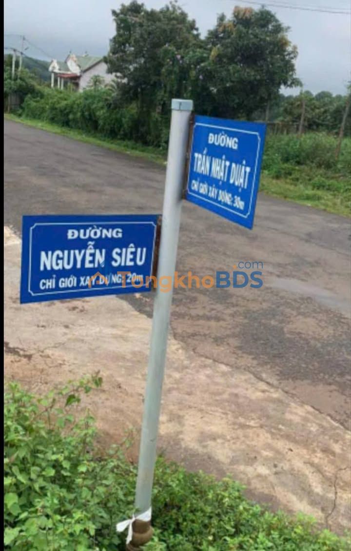 Đất nền Nguyễn Siêu Diên Hồng 300m² thỏa thuận - Sổ đỏ chính chủ