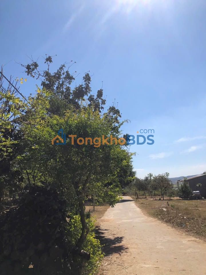 Đất nền Ngọc Bay Kon Tum 810m² giá 0.4 tỷ - Đường to ô tô