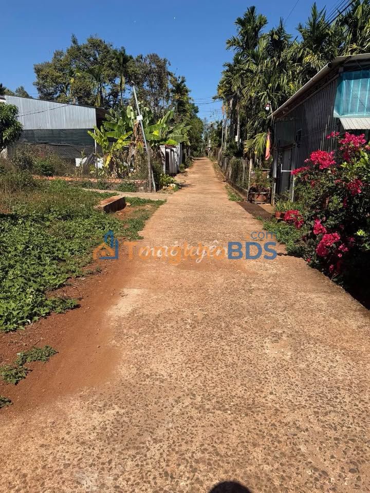 Townhouse Tân Lập Buôn Ma Thuột 105m² giá 990 triệu - Đường lớn sầm uất