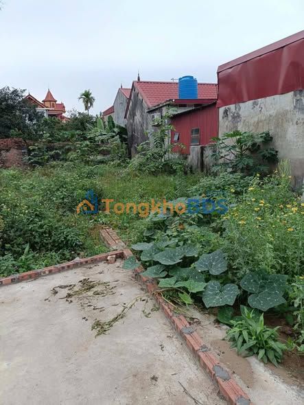 Đất nền thôn Phú Cơ 100m² 950 triệu - Đường ô tô vào