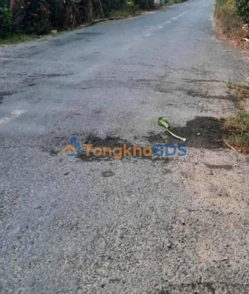 Đất nền Phong Mỹ 620m² giá 580 triệu - Sổ đỏ chính chủ