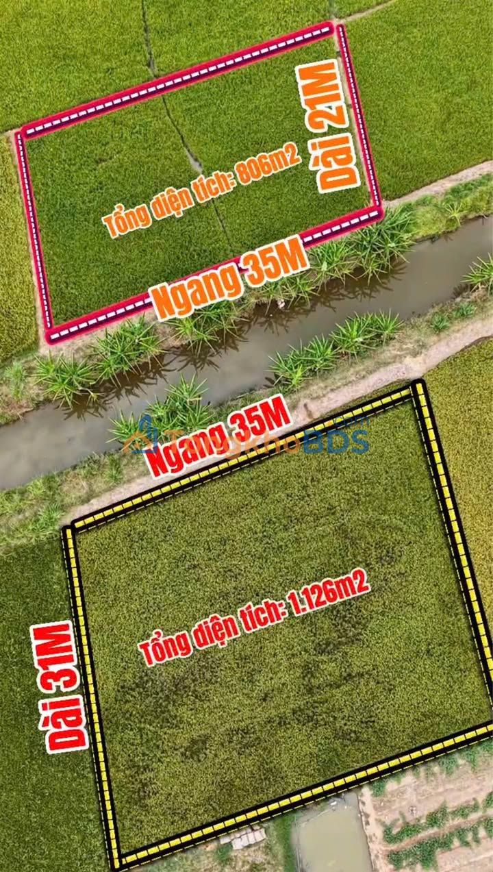 Đất nền Khóm 3 Trà Vinh 1902m² 690 triệu - Đầu tư dài hạn