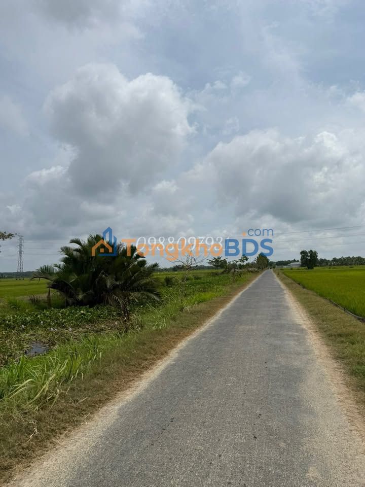 Đất nền Trà Vinh 4.057m² giá 933 triệu - Tiềm năng tăng giá