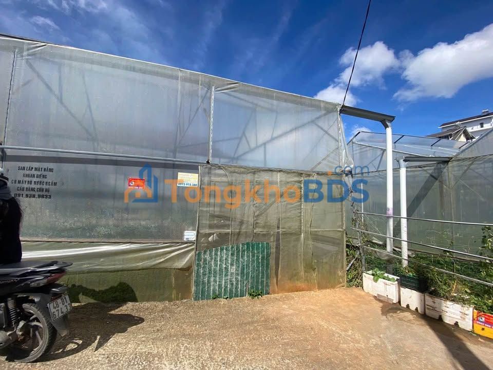 Đất nền Lý Nam Đế Đà Lạt 530m² 5.83 tỷ - Pháp lý rõ ràng