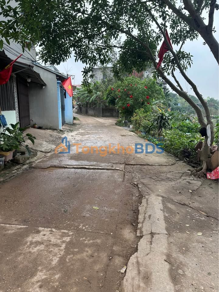 Đất Hoàng Văn Thụ Thái Nguyên 720m²/1,35 tỷ - Sổ đỏ chính chủ