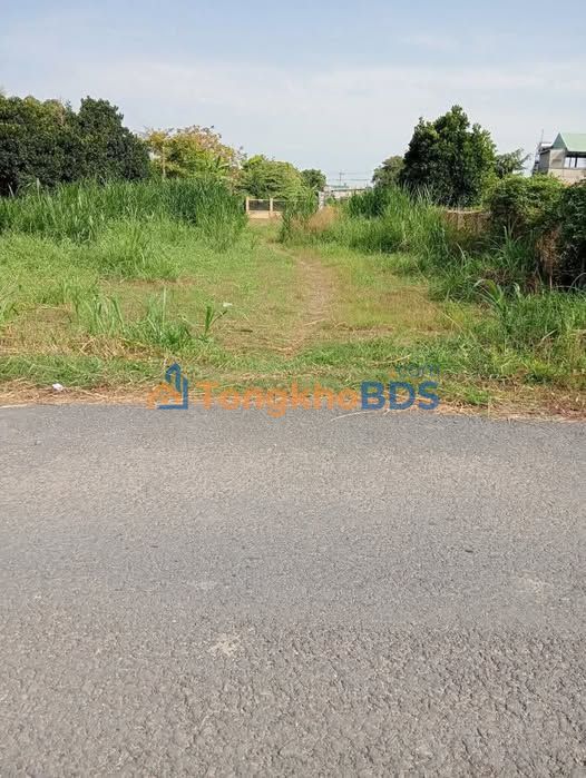 Đất nền Thị trấn Hậu Nghĩa 612m² 350 triệu - Pháp lý rõ ràng