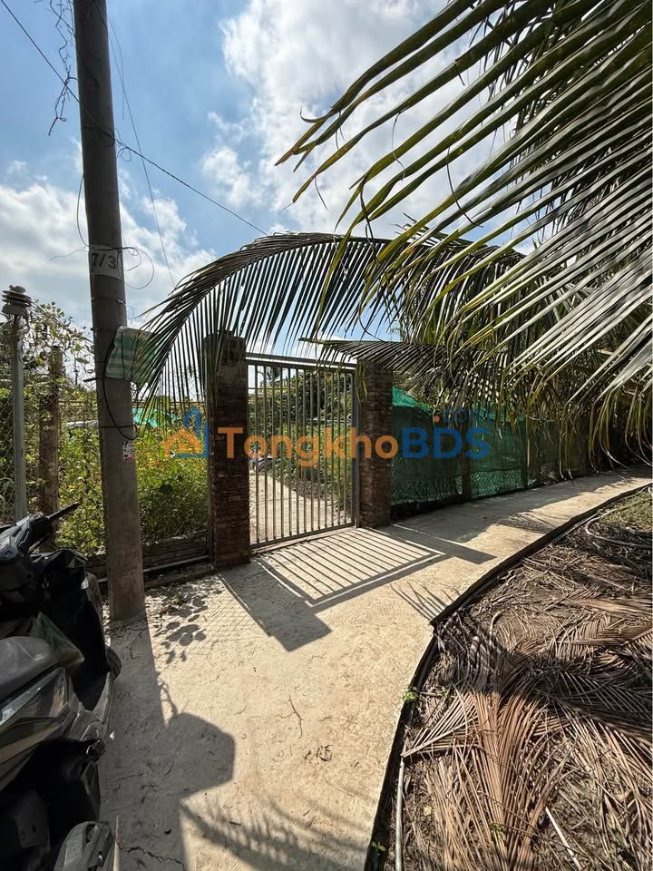 Đất Ấp Long Mỹ Mỹ Tho 1.071m² 3,2 tỷ - Sổ đỏ chính chủ