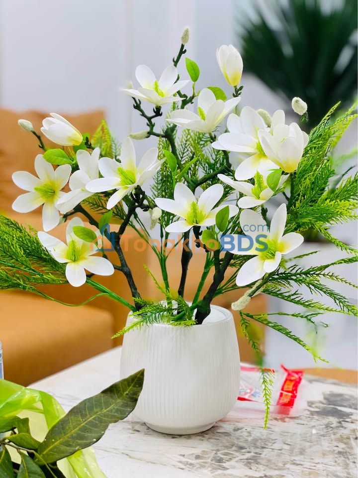 Nhà riêng Hàng Kênh Lê Chân 40m² 3,48 tỷ - Chính chủ bán