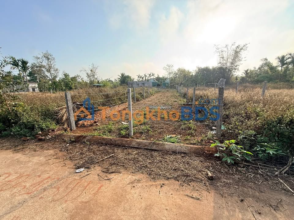 Đất nền Tân An Buôn Ma Thuột 265m² 999 triệu - Đường to ô tô