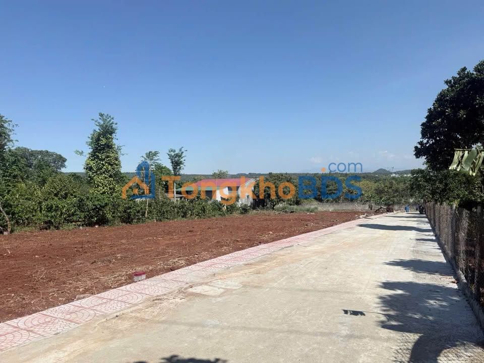 Đất nền Hẻm C1 Đào Duy Anh Buôn Ma Thuột 76m² 1.29 tỷ - Đất thổ cư 100%