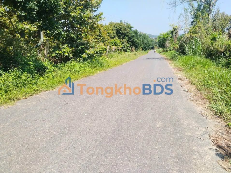 Đất vườn Hòa Nam Di Linh 14.000m² 9 tỷ - Nghỉ dưỡng lý tưởng