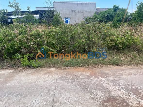 Đất Bình Đại 257m² 50 triệu/m² - Sổ đỏ chính chủ