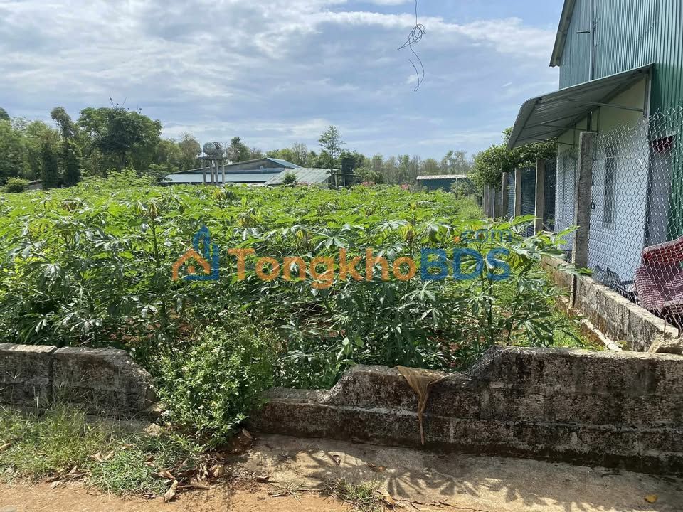 Đất nền Hiền Thành 300m² 300 triệu – Sổ đỏ chính chủ