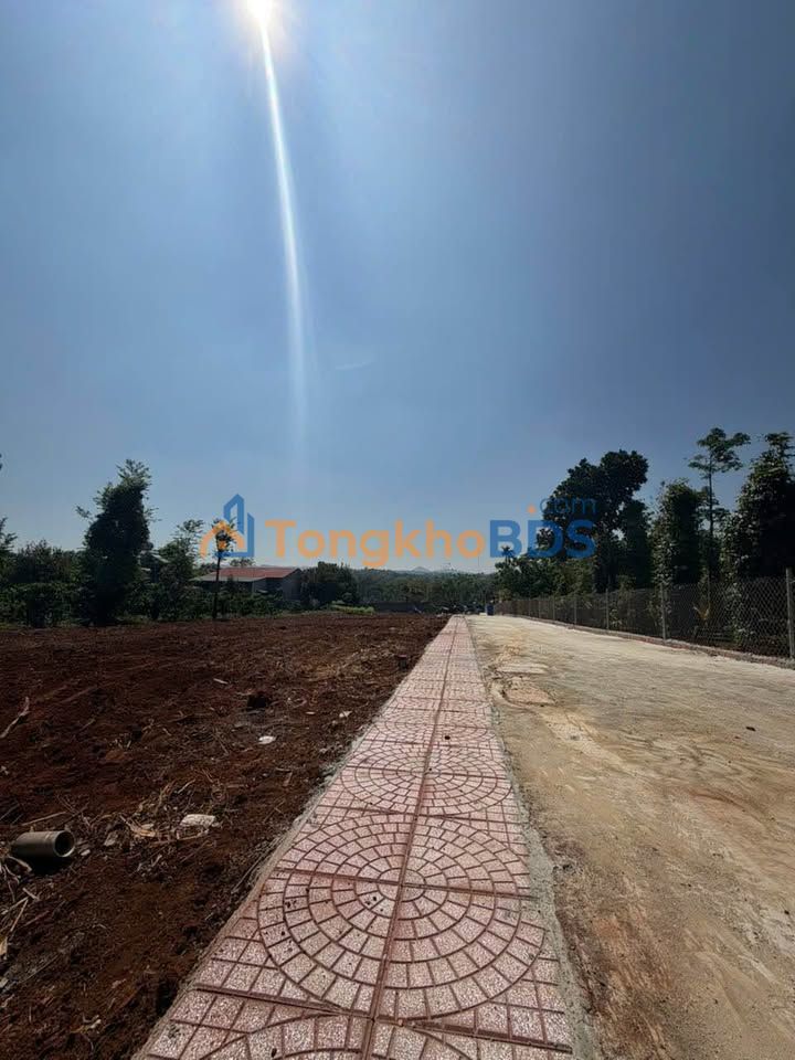 Đất Đào Duy Anh Buôn Ma Thuột 100m² 1.29 tỷ - Sổ đỏ
