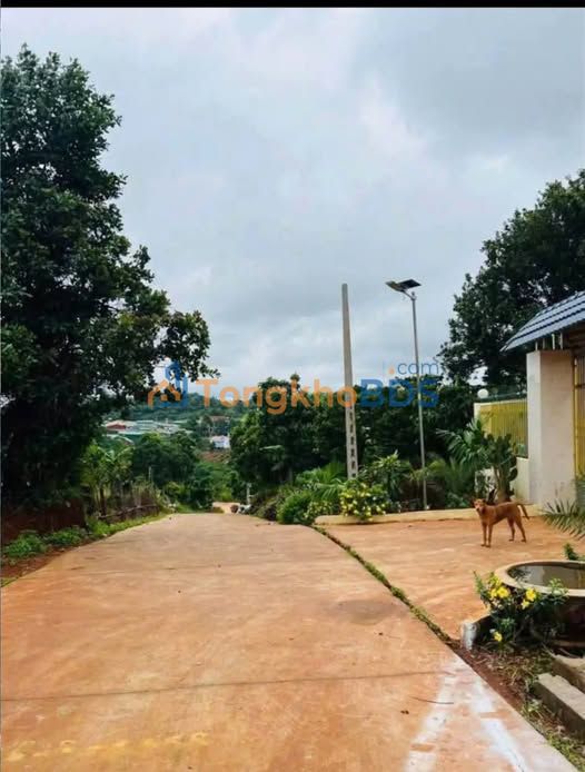 Đất Nghĩa Đức Gia Nghĩa 500m2 999 triệu - Thổ cư chuẩn