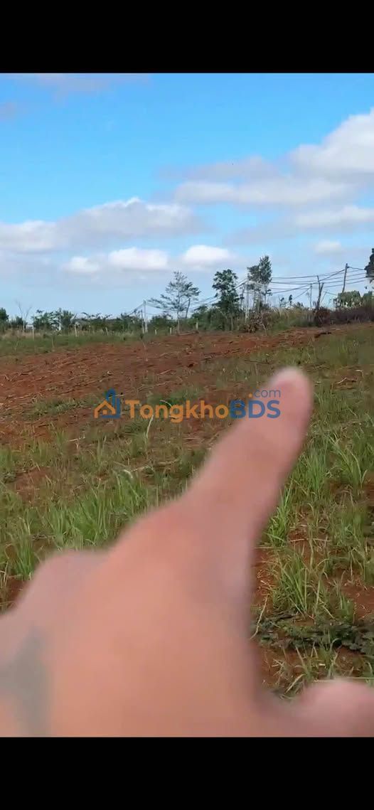 Đất nền Nghĩa Thành Gia Nghĩa 2ha 1,3 tỷ - Sổ đỏ chính chủ