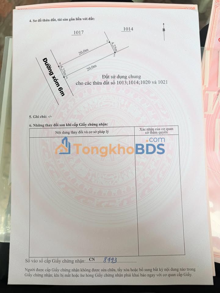 Đất nền Nam Phong Kiến Thiết 85m² 700-799 triệu - Hạ tầng hoàn thiện