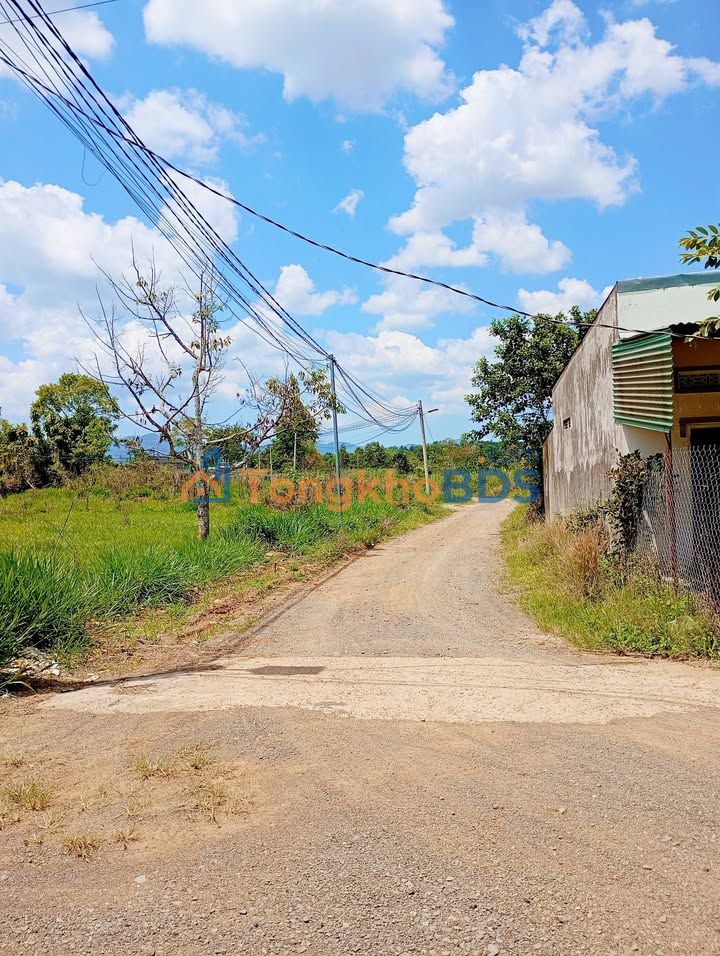 Đất nền B'lao Bảo Lộc 6000m2 7.2 tỷ - Sổ đỏ chính chủ