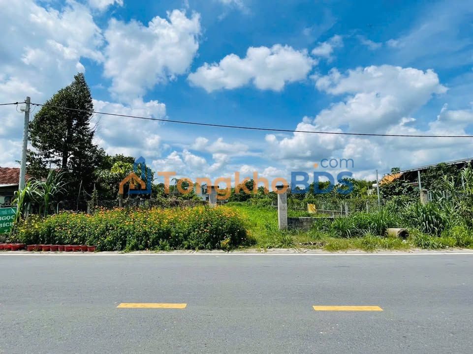 Đất vườn Nguyễn Thị Nê, Củ Chi 980m² giá 8,5 tỷ - Sổ đỏ chính chủ