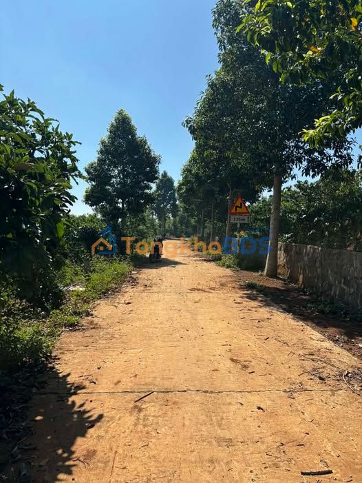 Đất vườn Tân Nghĩa Di Linh 3.240m² 2.7 tỷ - An yên tĩnh lặng