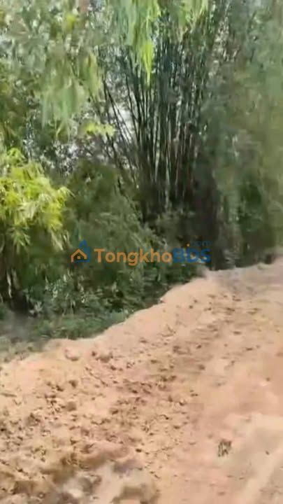 Đất nền xã Đốc Binh Kiều 5.400m² giá 3.3 tỷ - Đầu tư sinh lời