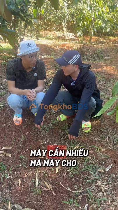 Đất nền Quang Trung Buôn Hồ 1872m² 2.9 tỷ - Đường to ô tô