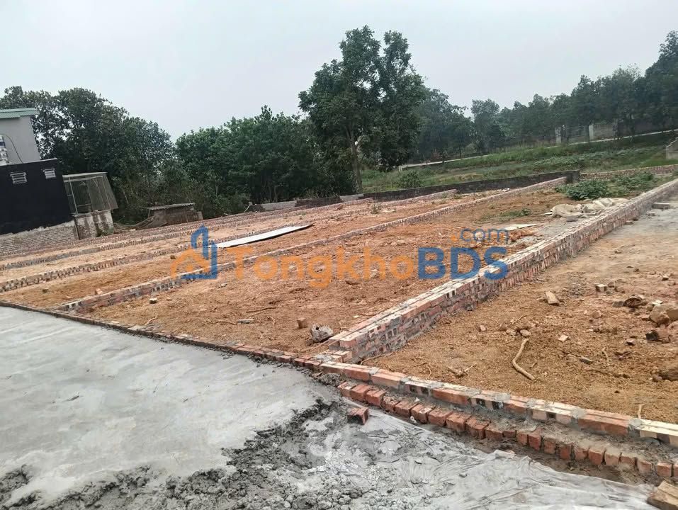 Đất nền Sơn Đông Phúc Thọ 100m² 1.2-1.5 tỷ sổ đỏ