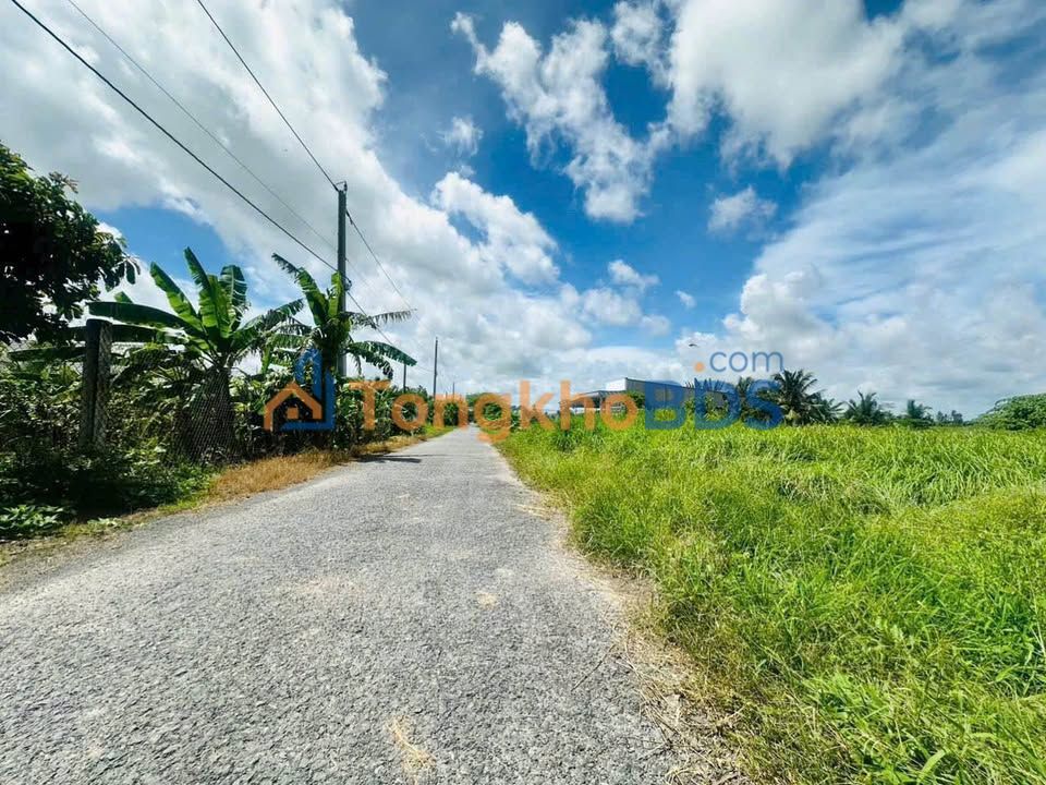 Đất nền Lộc Hòa Long Hồ 646m² 2.5 tỷ - Sổ đỏ chính chủ